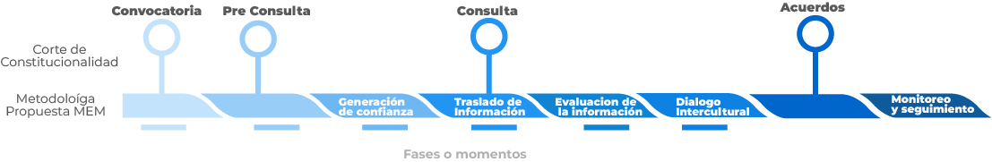 propuesta del plan de la consulta fases o momentos